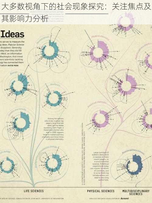 大多数视角下的社会现象探究：关注焦点及其影响力分析