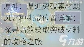 原神：温迪突破素材飓风之种挑战位置详解：探寻高效获取突破材料的攻略之旅