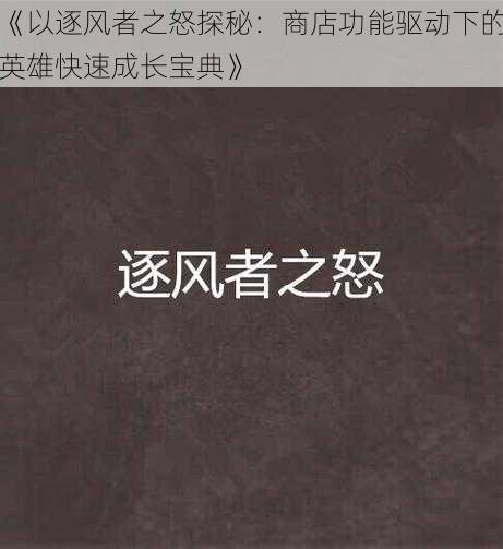 《以逐风者之怒探秘：商店功能驱动下的英雄快速成长宝典》